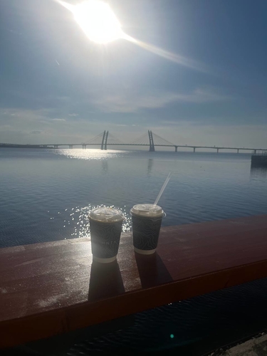 Сегодня Пасха - день начался с кулича и яиц. Вчера их с родителями готовили, а ещё вчера были на выписке Ани. А сегод...