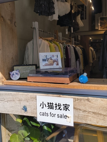 Тусим в Китае, пока полёт нормальный