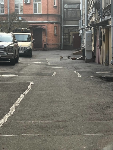 Сходили с Юлей на маникюр, теперь у нас одинаково аляпистый маникюр. Потом я поехала на хор, сейчас сидим с Денисом б...